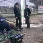 NAVY: Investigación Criminal