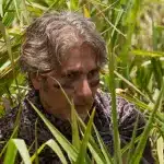 Imagen episódica de la serie Mad Dogs.