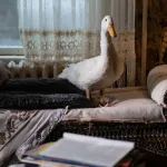 Imagen del episodio de Three Pines.