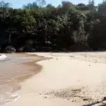 Imagen del episodio de Bite Club.