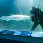 Imagen del episodio de Bite Club.