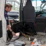 Imagen del episodio de Bite Club.