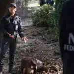 Imagen del episodio de NAVY.