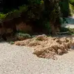 Imagen del episodio especial de Candice Renoir.