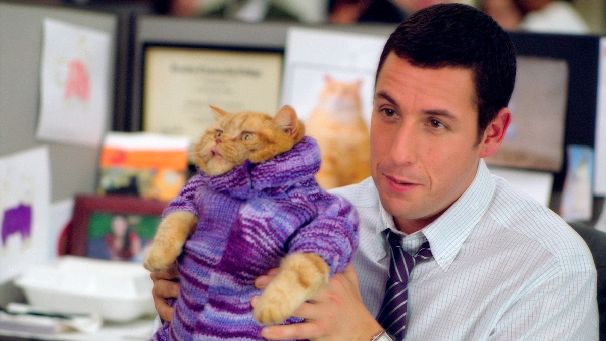 Imagen de la película Ejecutivo Agresivo.